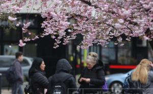 Prekrasni prizori iz Sarajeva: Behar "prkosi" niskim temperaturama